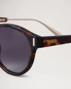 Taylor Sunglasses Havana -Fashion Bag Store G RS5455 000E135 3