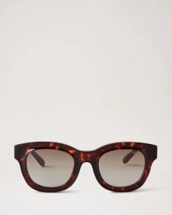 Ollie Sunglasses Tortoiseshell